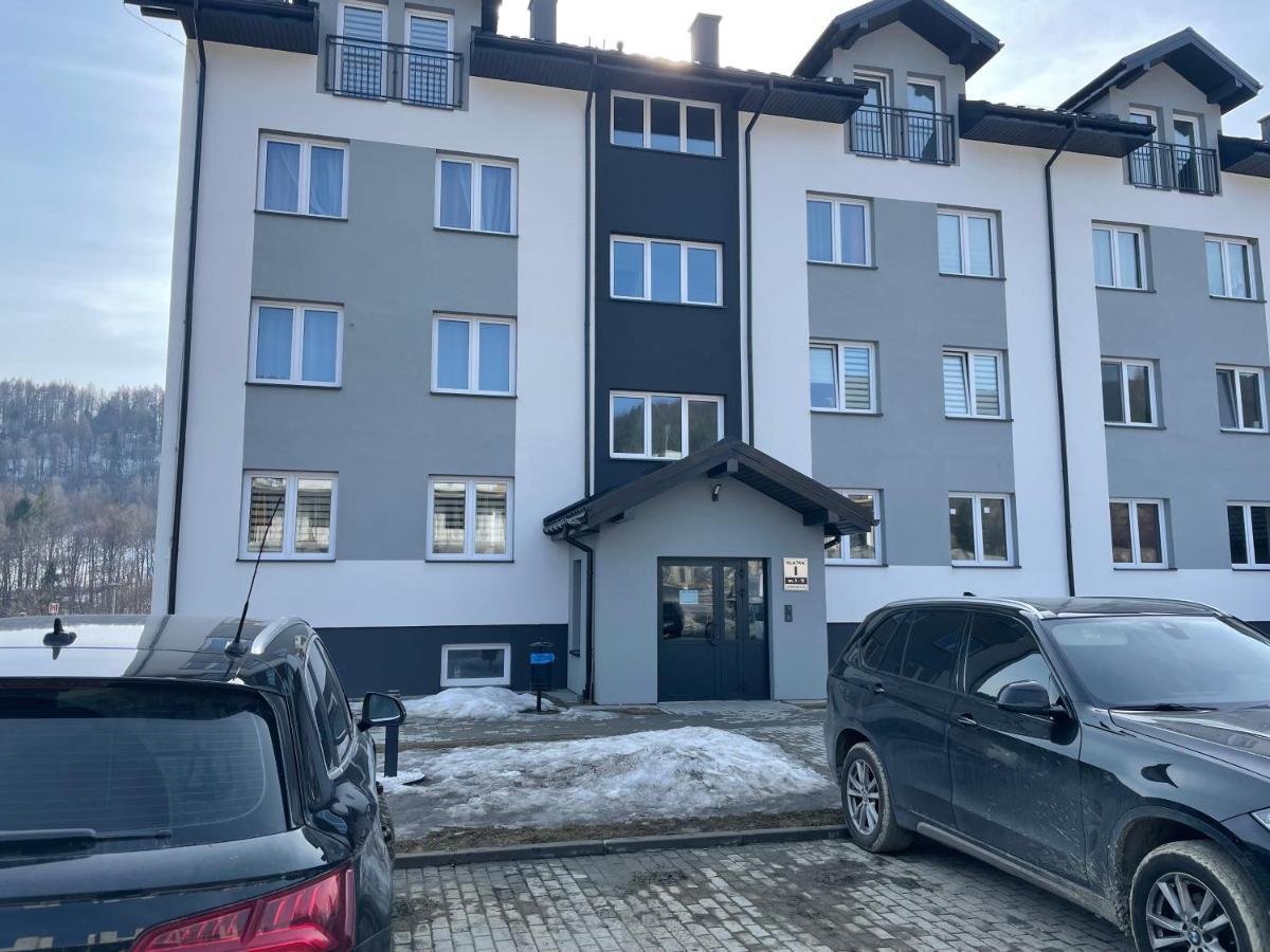 Apartament Modern Ustrzyki Dolne Esterno foto